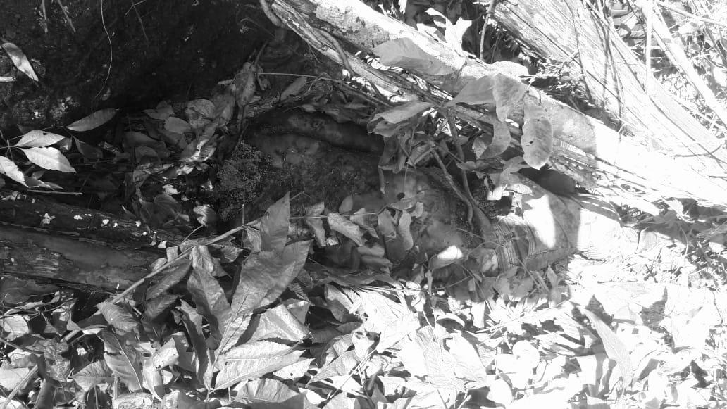 Corpo sem a cabeça e em decomposição é encontrado em Canaã dos Carajás