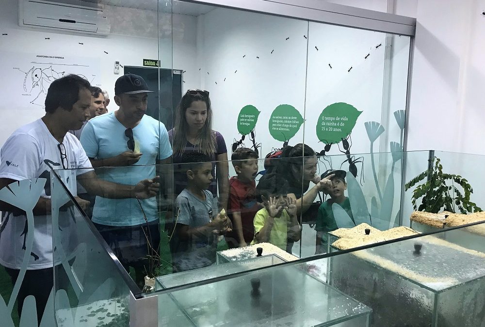Parque Zoobotânico Vale inaugura formigueiro em programação do mês das crianças