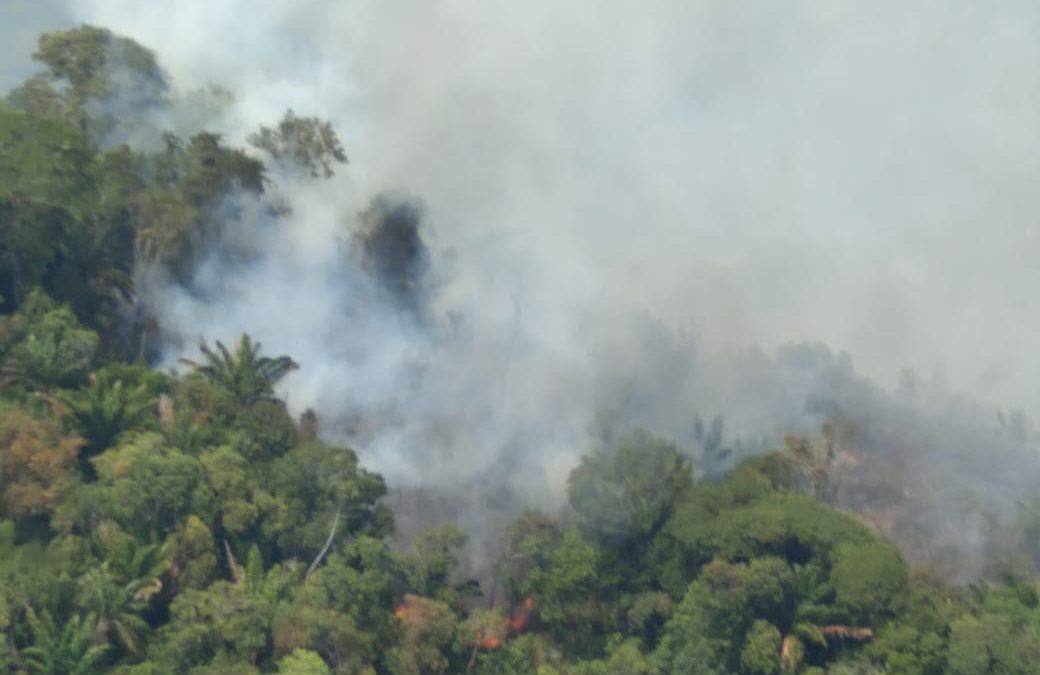 Bombeiros e brigadistas trabalham para conter incêndios na Floresta Nacional de Carajás