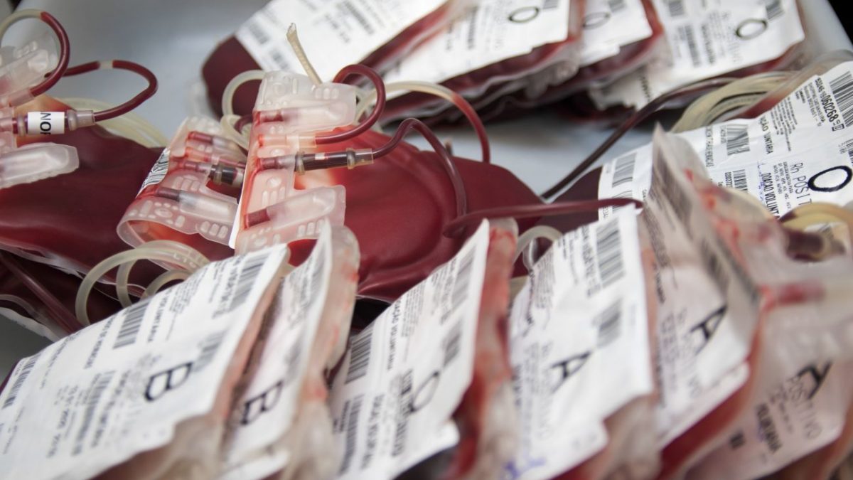Pacientes que se recuperaram da Covid-19 podem doar sangue